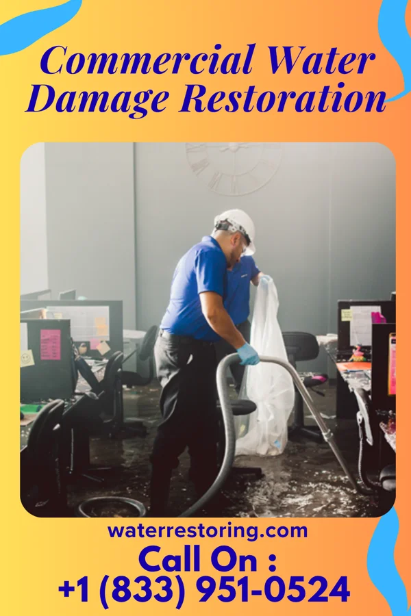 Commercial Water Damage Restoration in Lynden, WA