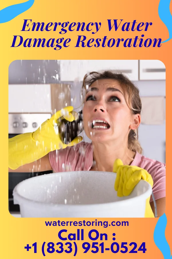 Emergency Water Damage Restoration in Lynden, WA